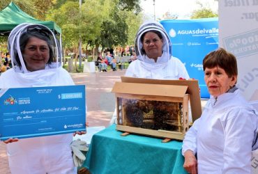 Apoyados por Aguas del Valle: Apicultores del Valle de Elqui realizan charlas a estudiantes de Vicuña sobre cuidado de las abejas