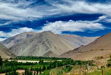 Pisco Chile se une a World Spirits Alliance (WSA), el grupo élite de productores mundiales de bebidas espirituosas