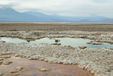 Universidad Católica del Norte desarrollará 5 potentes investigaciones sobre acuicultura, litio y los humedales del desierto de Atacama