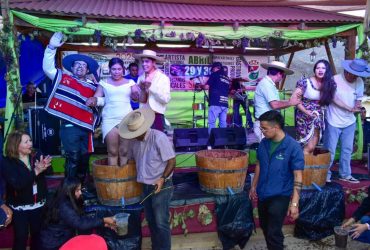 Fiesta de la Vendimia de Río Hurtado escogió a su reina y disfrutó con los Luceros del Valle