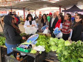 Gobierno inaugura cinco Microbancos de Alimentos Saludables en la Región de Coquimbo