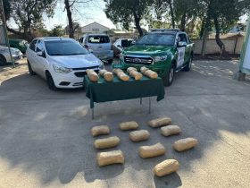 Carabineros de la Tenencia carretera Choapa detiene a 2 venezolanos y decomisa marihuana procesada tras fiscalización