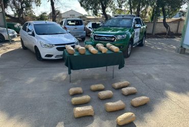 Carabineros de la Tenencia carretera Choapa detiene a 2 venezolanos y decomisa marihuana procesada tras fiscalización