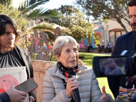 “Tejiendo Memorias”: invitan a mujeres y diversidades a ser parte de archivo digital fotográfico